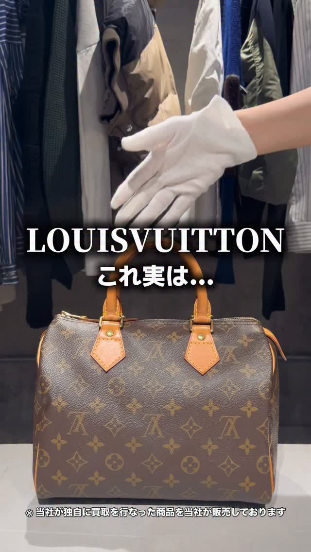 Authentic Pre-Owned Louis Vuitton Bag At Ecostyle