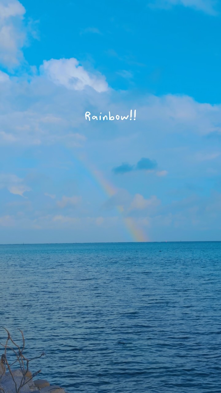 Island Life on Tropical Ishigaki