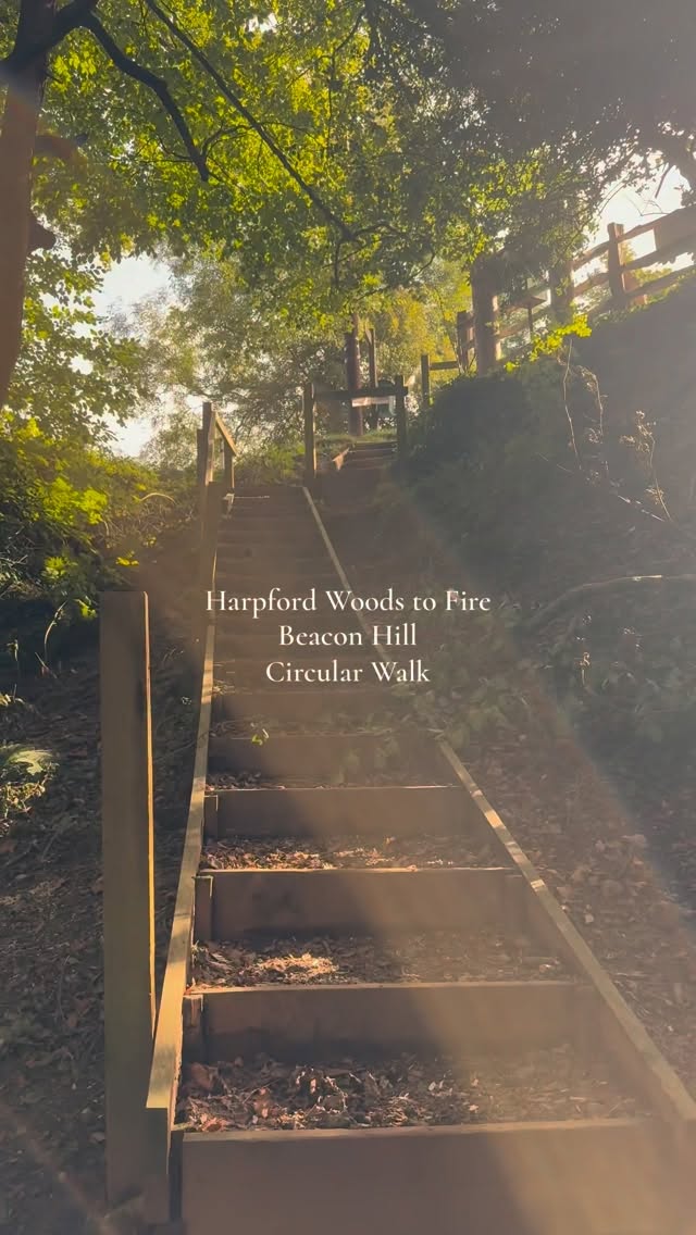 Scenic East Devon Circular Nature Walk