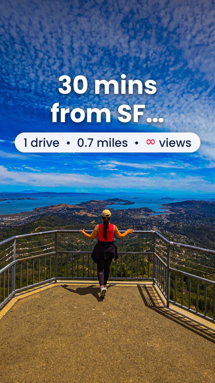 Bay Area Views From Mount Tamalpais State Park Hike