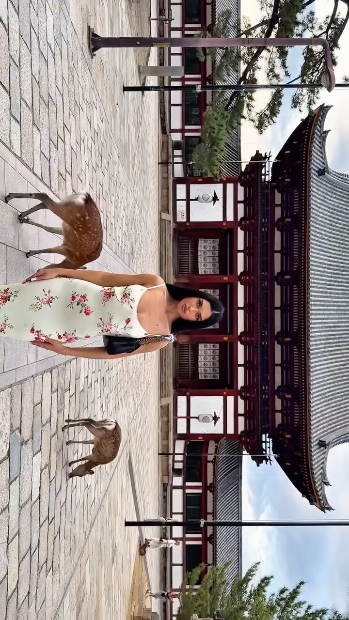 Iconic Landmarks and Bustling Districts in Japan