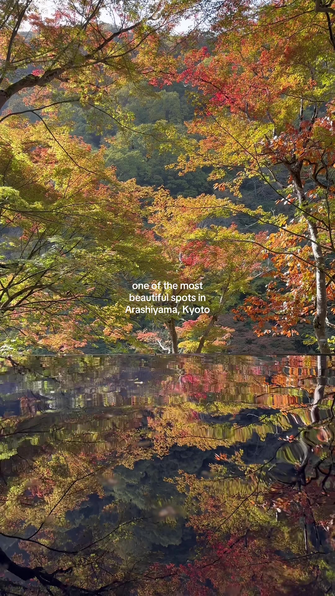 Arashiyama’s Autumn Beauty and Traditional Architecture