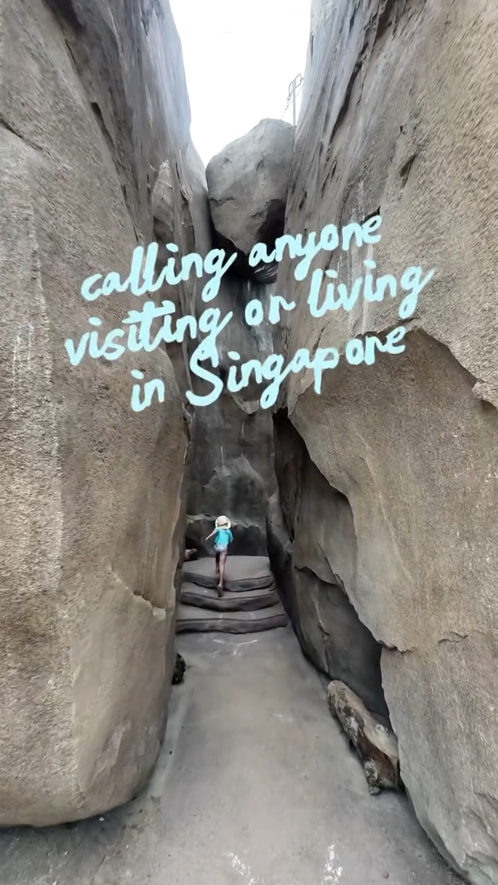Singapore Rainforest Wild Adventure Family Fun