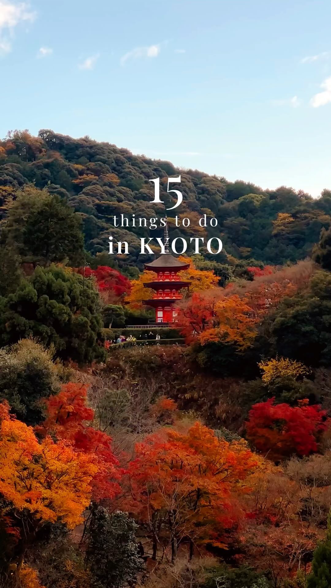 Kyoto's Top Temples, Markets, and Cultural Attractions