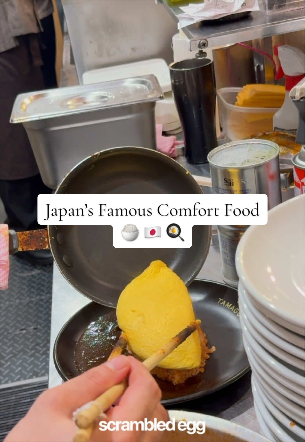 Fluffy Omurice Served in Tokyo
