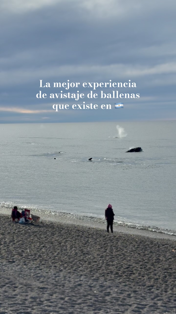 El Doradillo: Coastal Whale Watching Hotspot