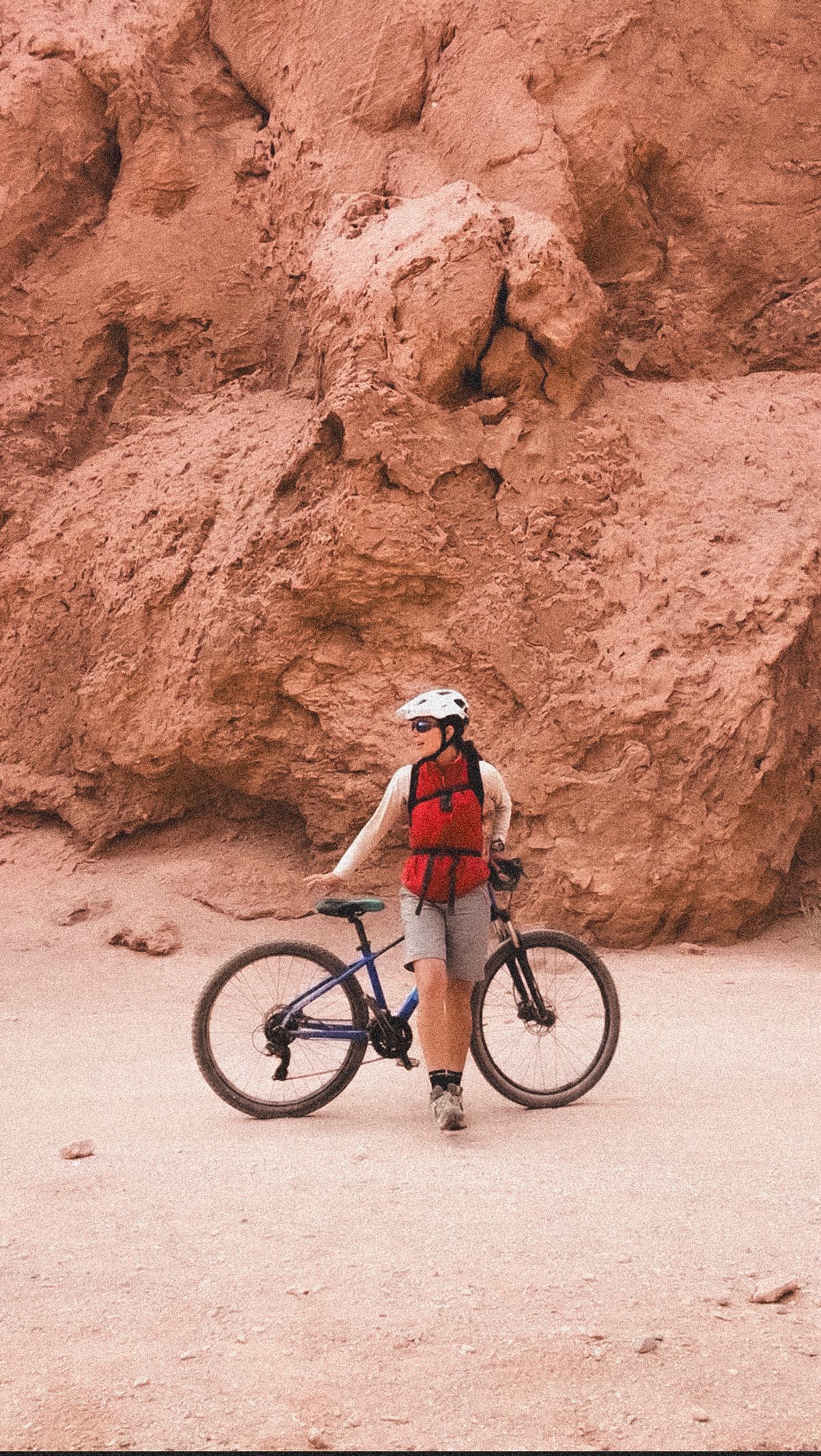 Chile's Atacama Desert: Arid Landscapes and Stargazing