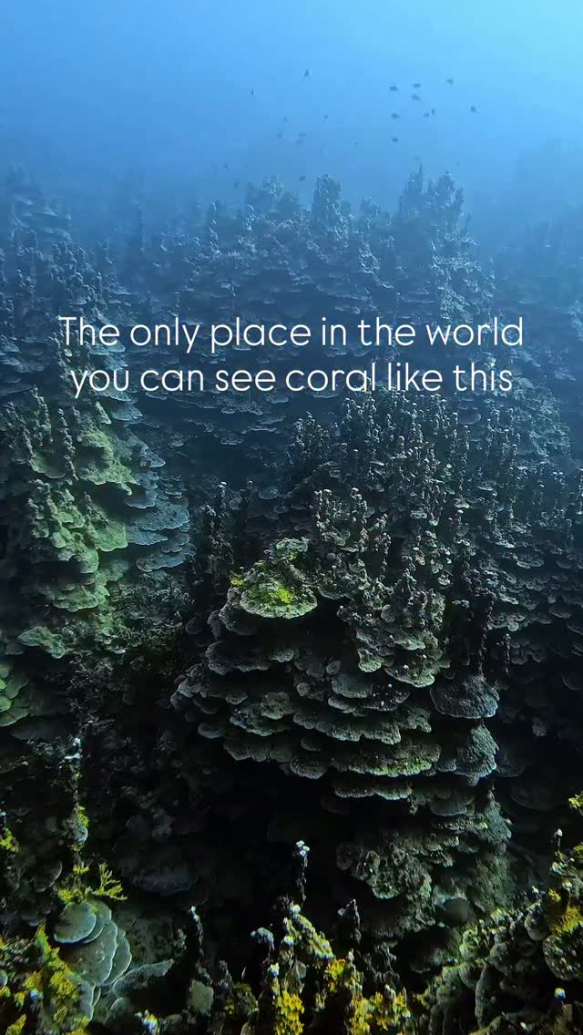 Islands Featuring Unique Coral Formations