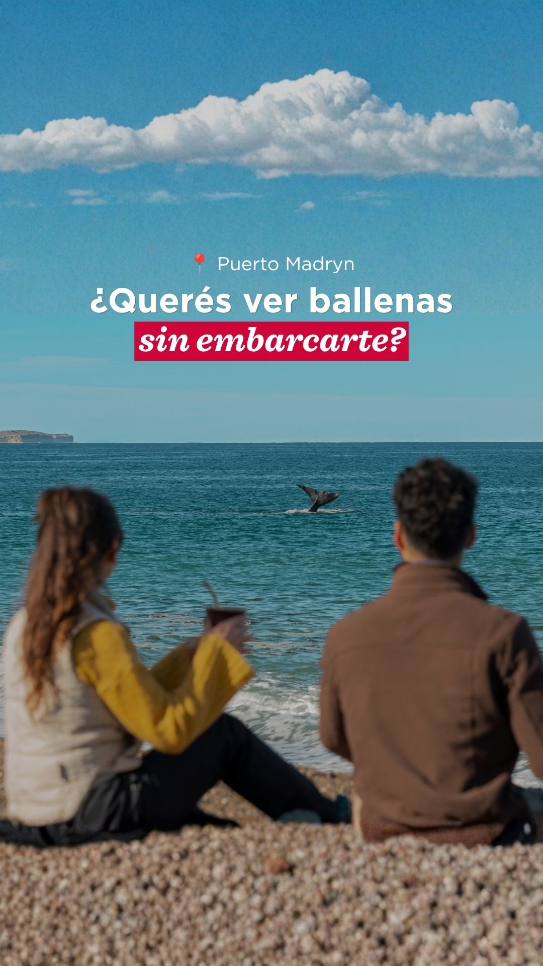 Whale Watching Beaches Accessible From Shore