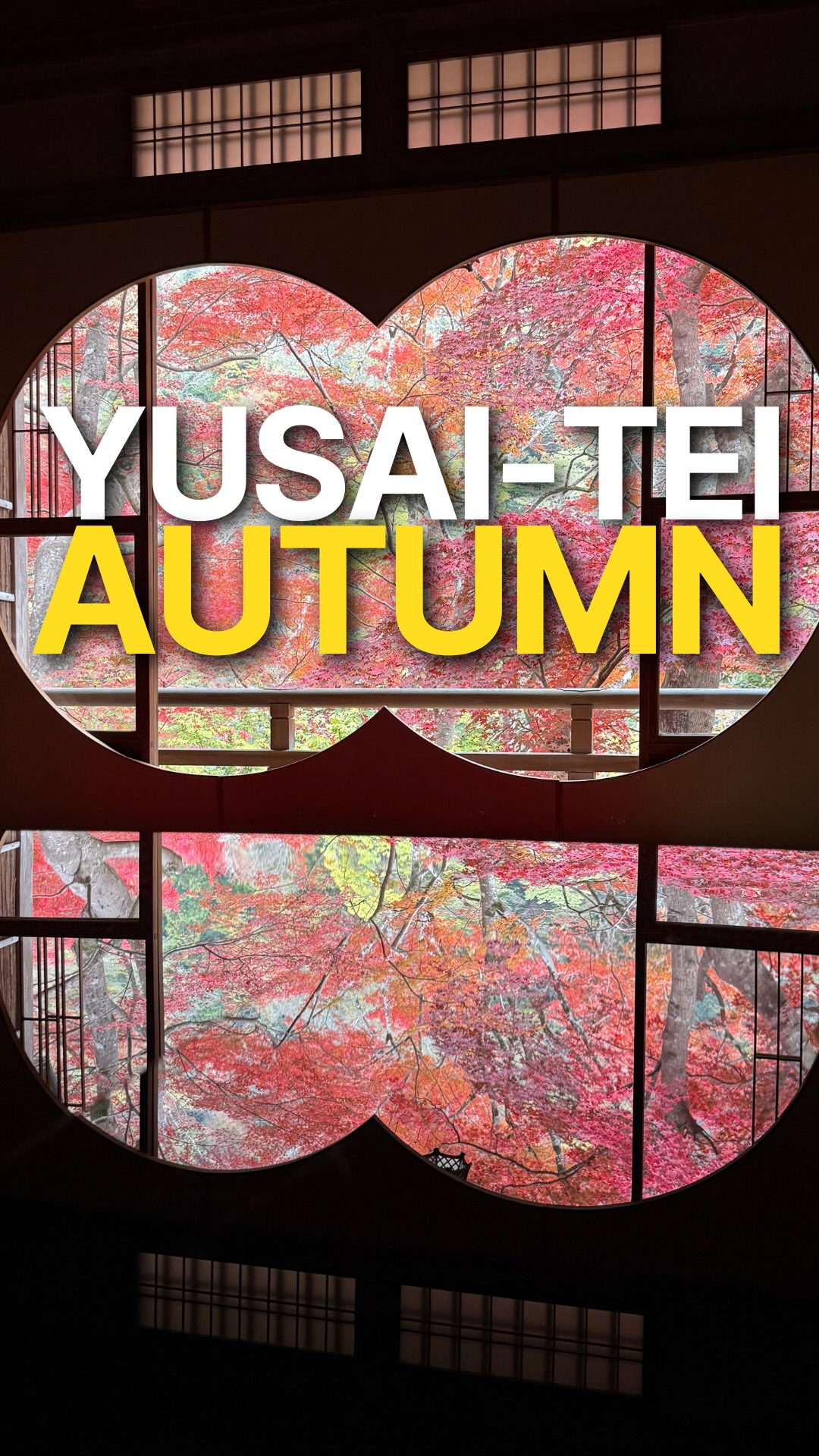 Arashiyama's Autumn Views and Photo Tips