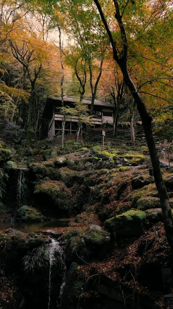 Kyoto Temple Adorned With Vibrant Autumn Foliage