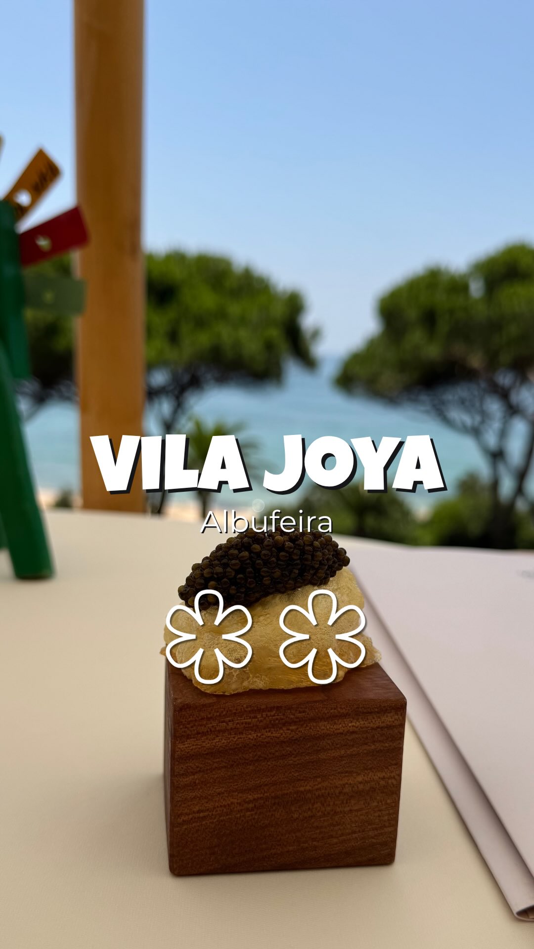 Vila Joya: A Michelin Star Culinary Gem