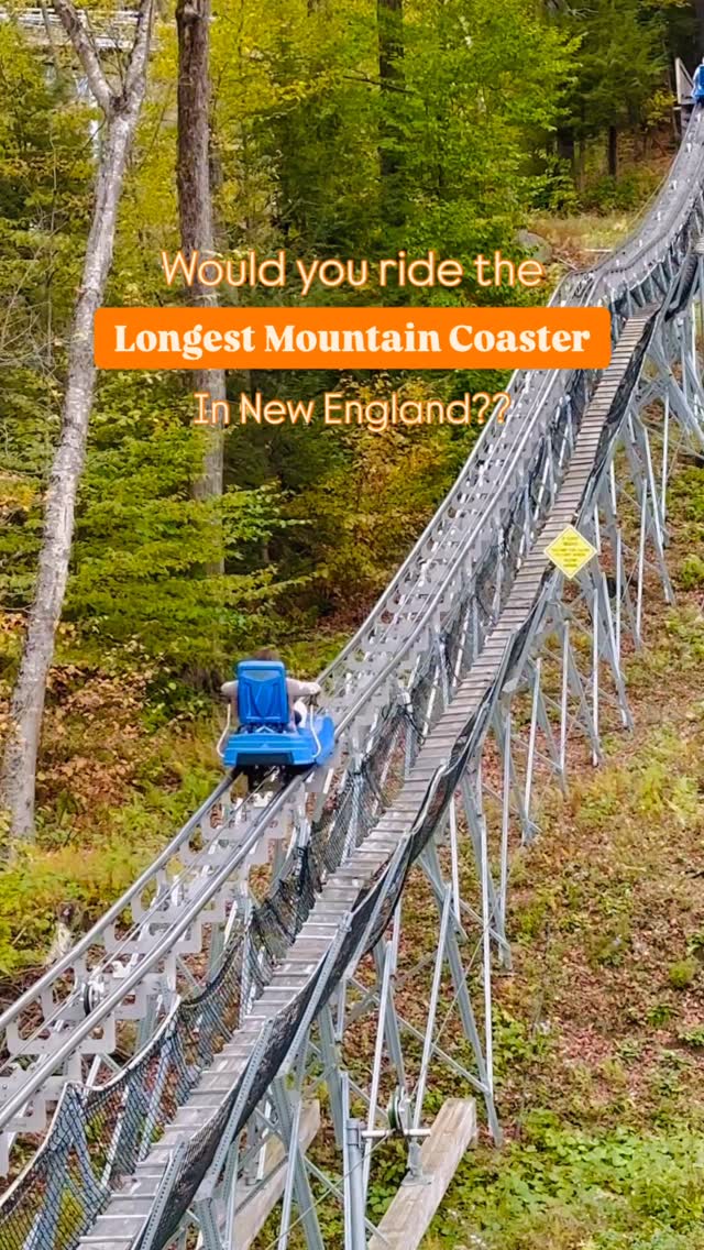 Mountain Coaster Thrills In The Berkshires