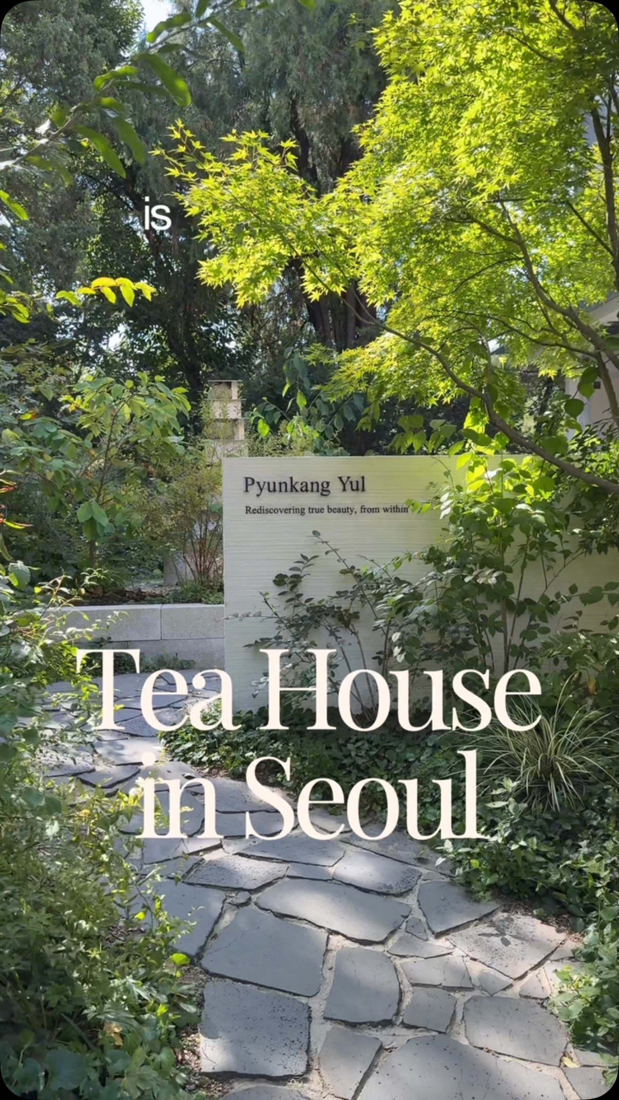 Samcheong-dong Tea House and School System
