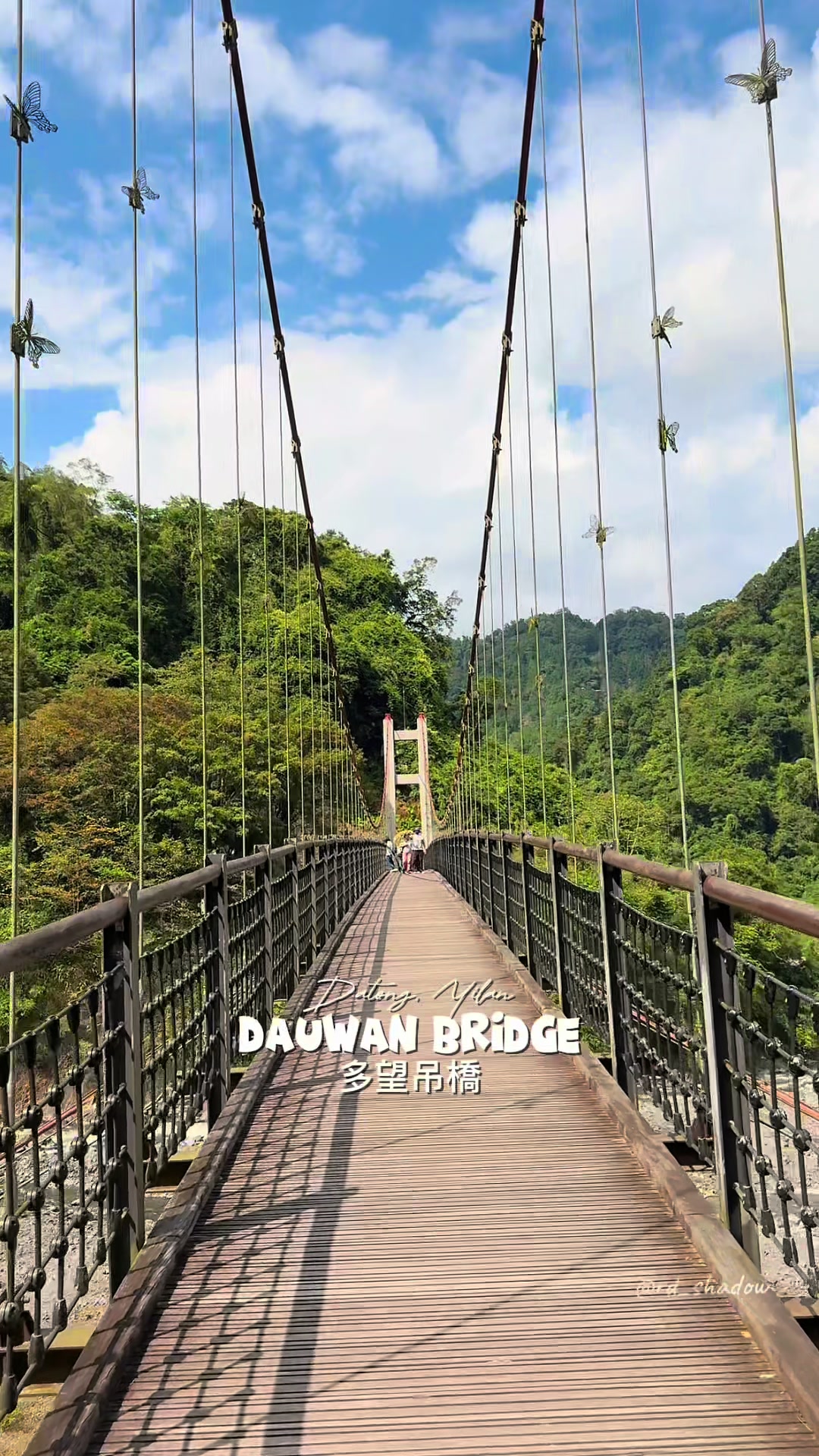 Taiwan's Forested Hot Springs and Scenic Bridges