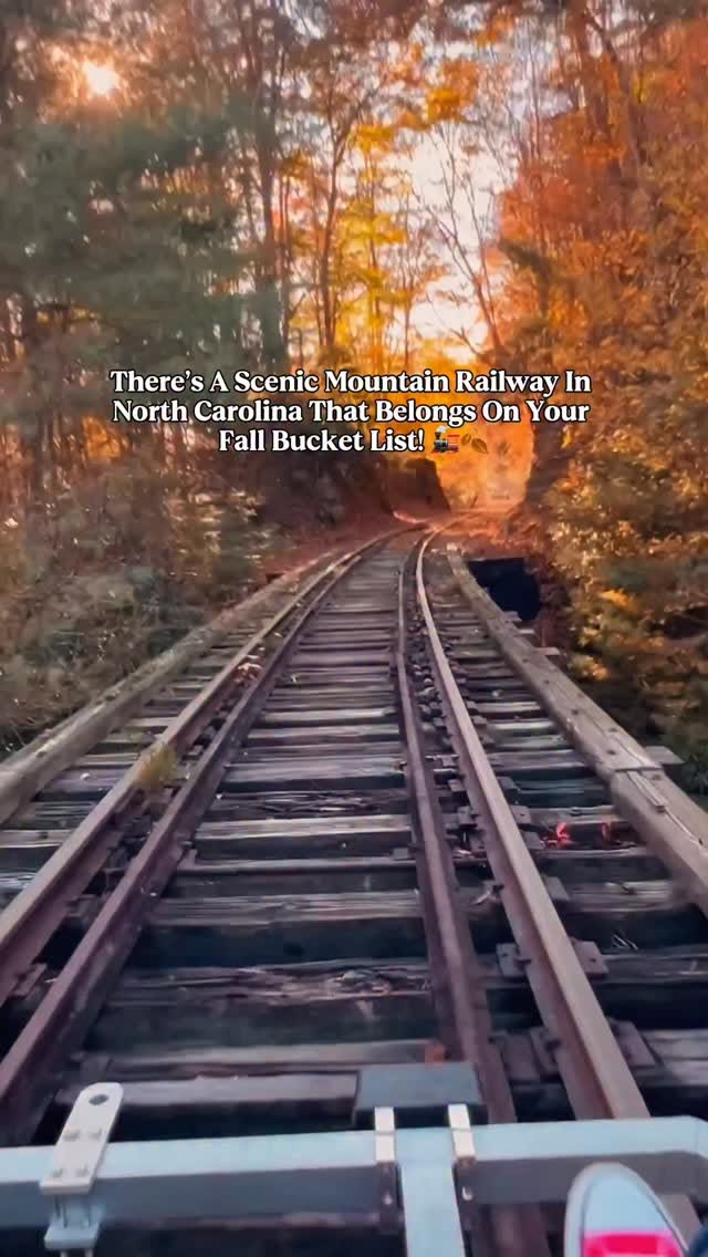 Mountain Rail Tours Through Fall Foliage