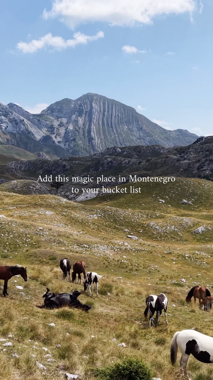 Montenegro's Dramatic Mountain Scenery And Wild Horses