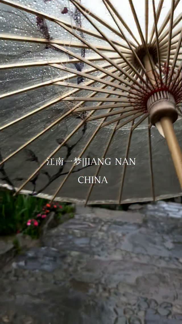 Scenic Jiangnan Water Towns Offer Tranquil Charm