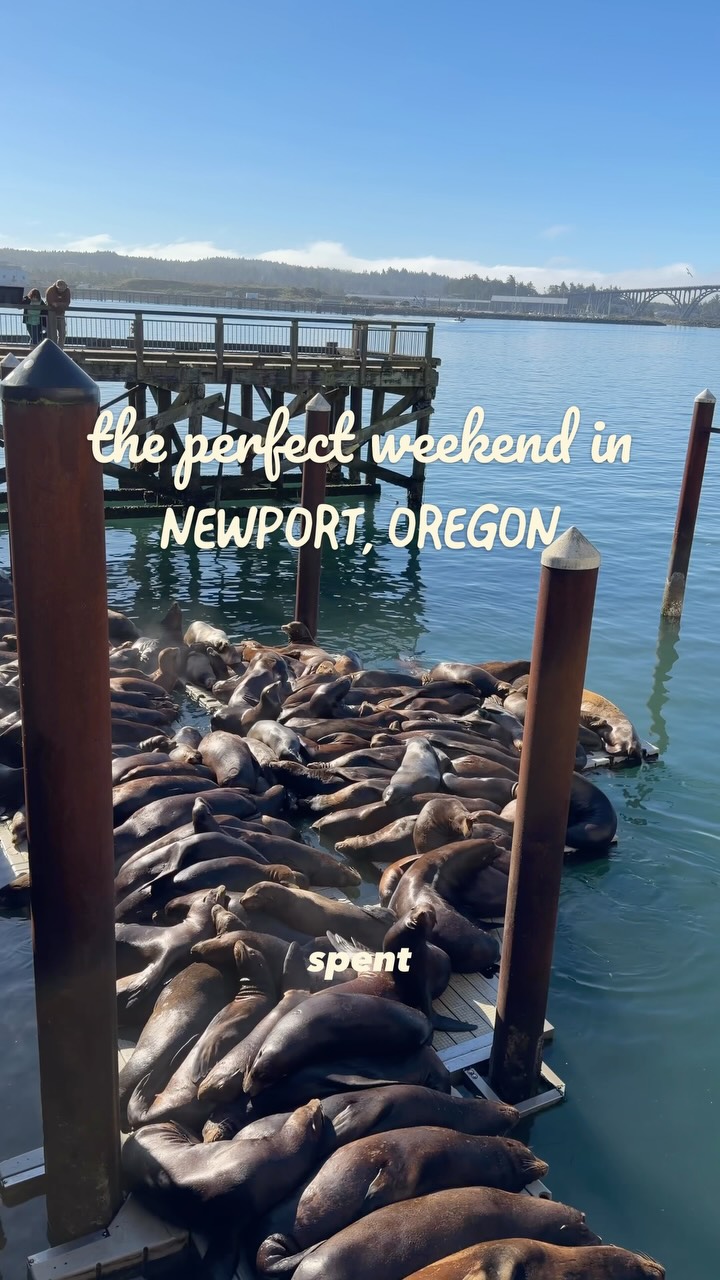 Newport Oregon Coastal Attractions And Dining