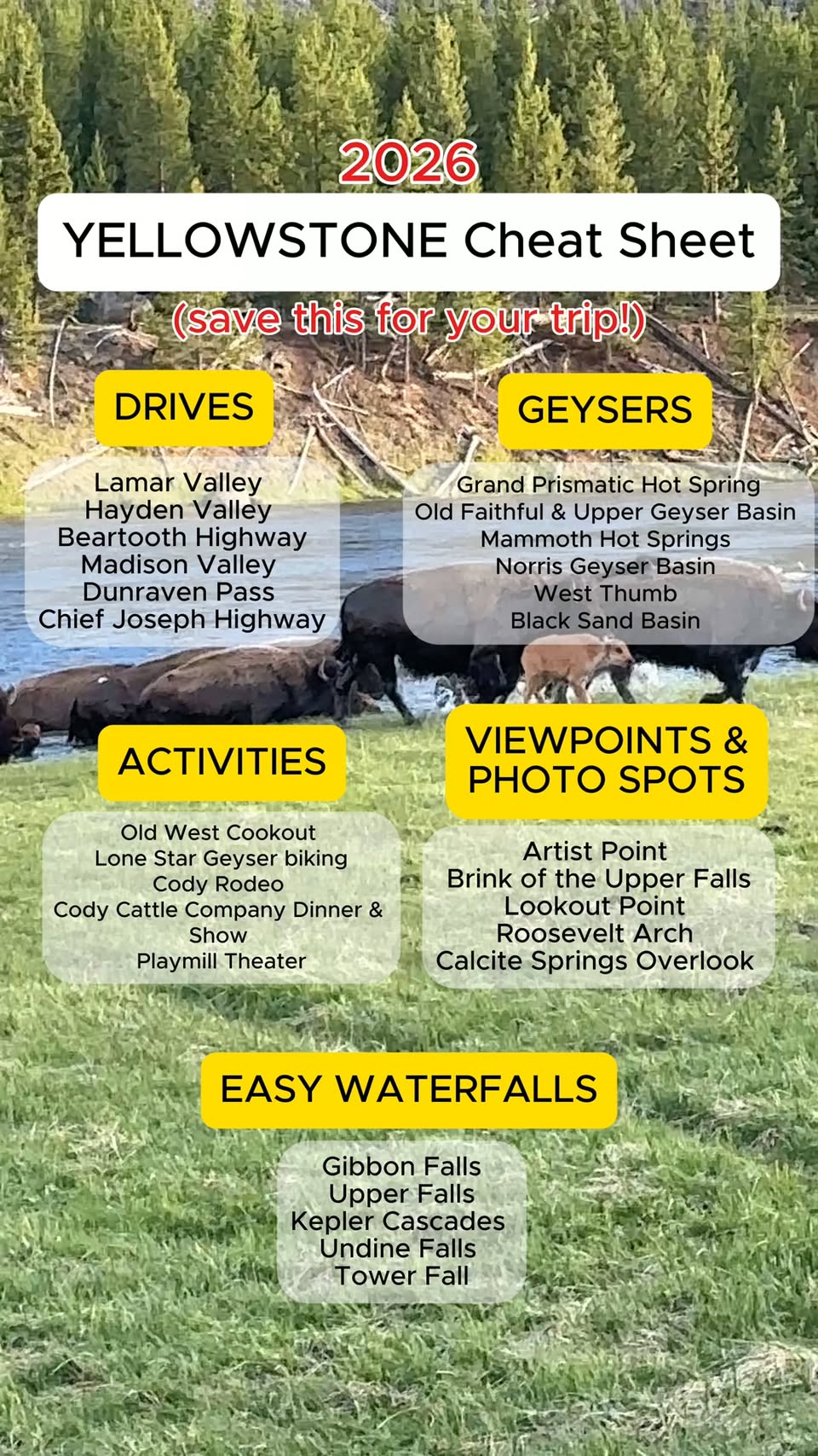 Yellowstone's Top Geysers, Waterfalls, and Scenic Spots
