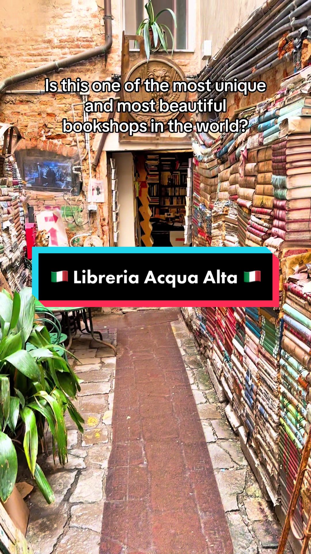 Venice Bookstore Stores Books in Gondolas and Bathtubs