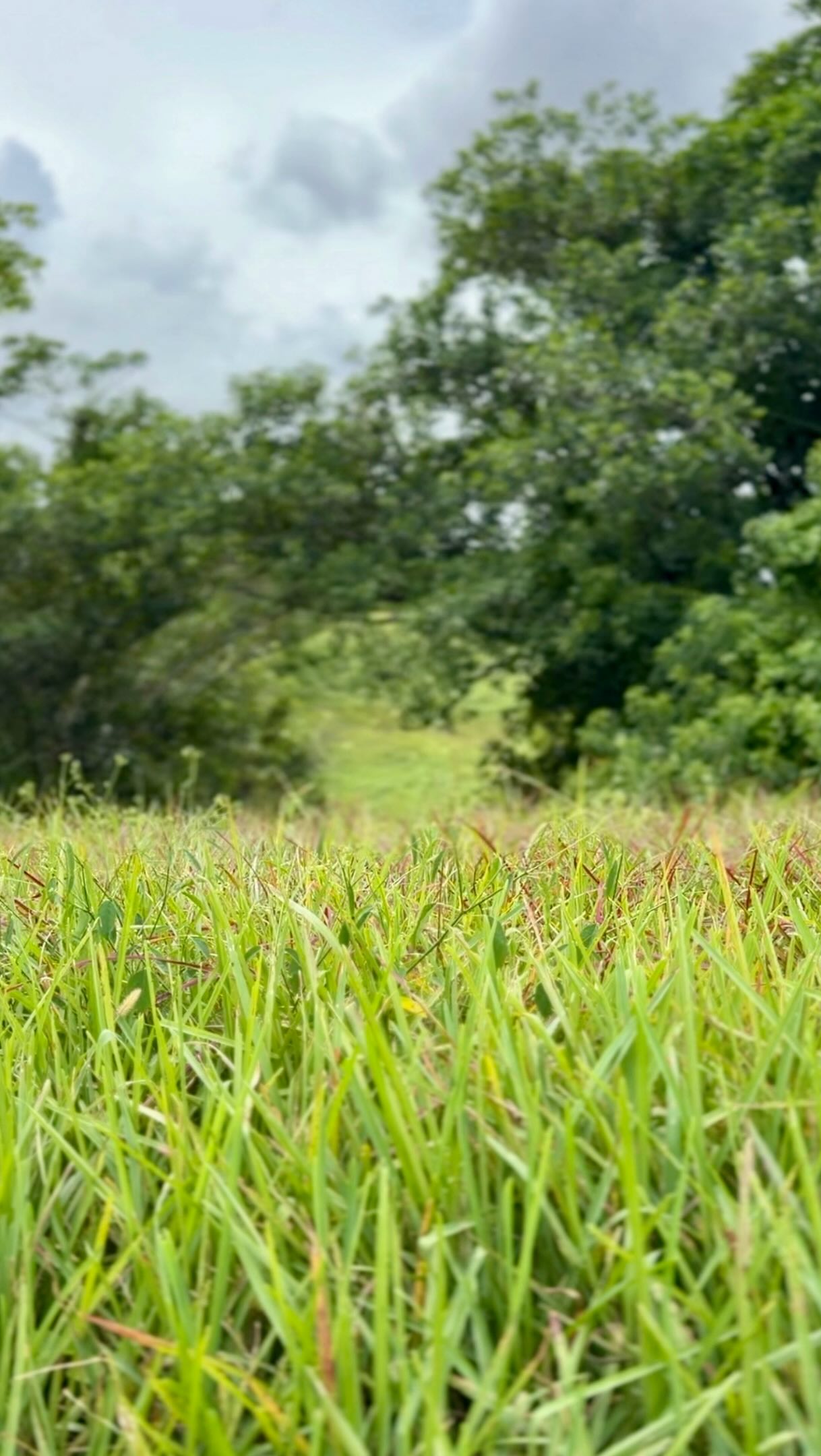 Florida Nature Area Offers Trails and Playgrounds