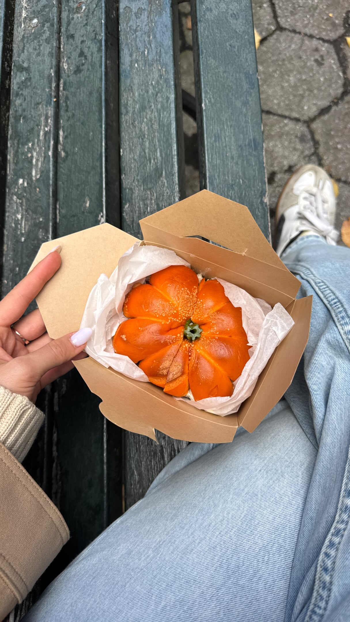 Bagel Delight in Central Park