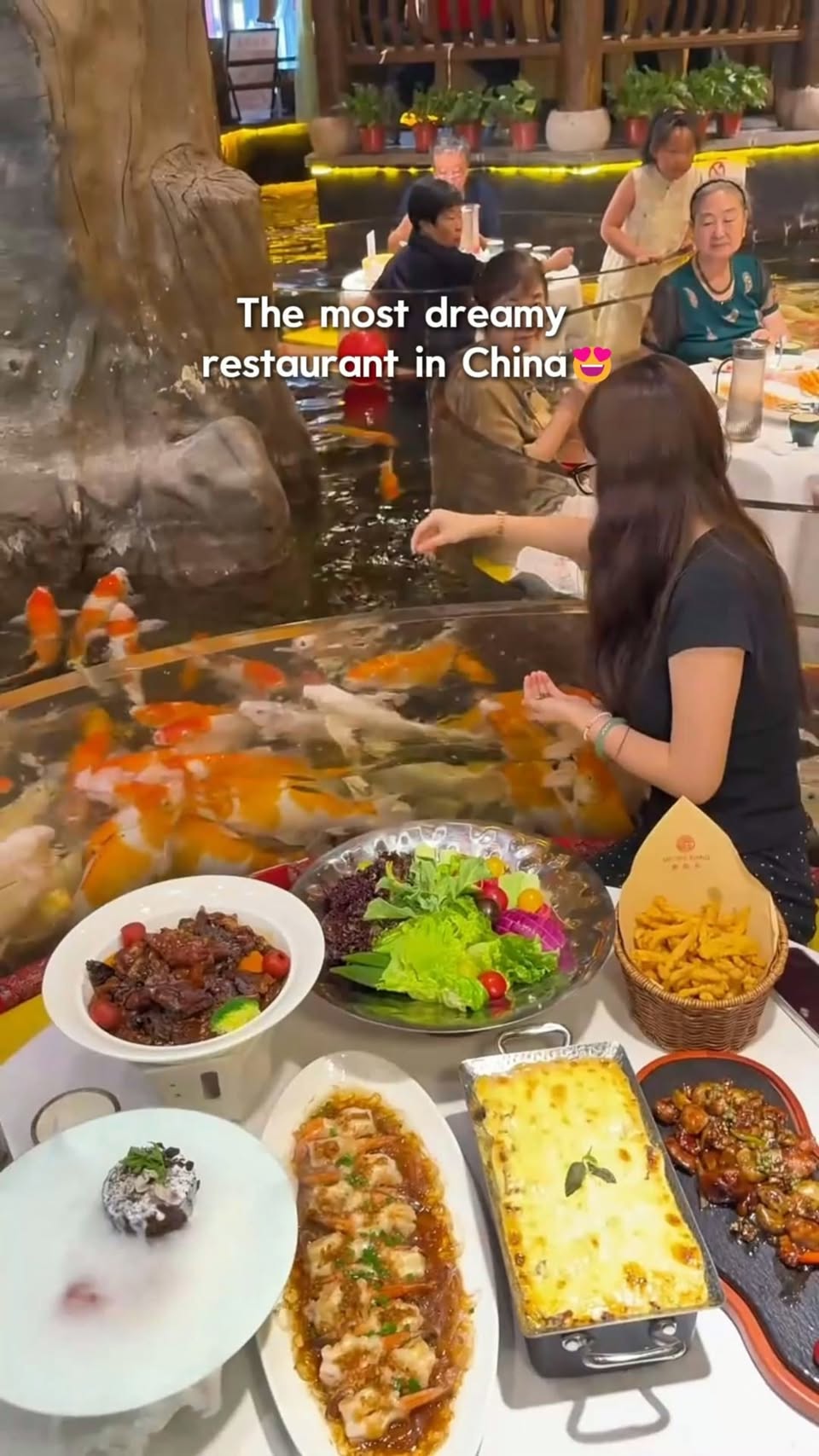 Underwater Dining With Koi Fish