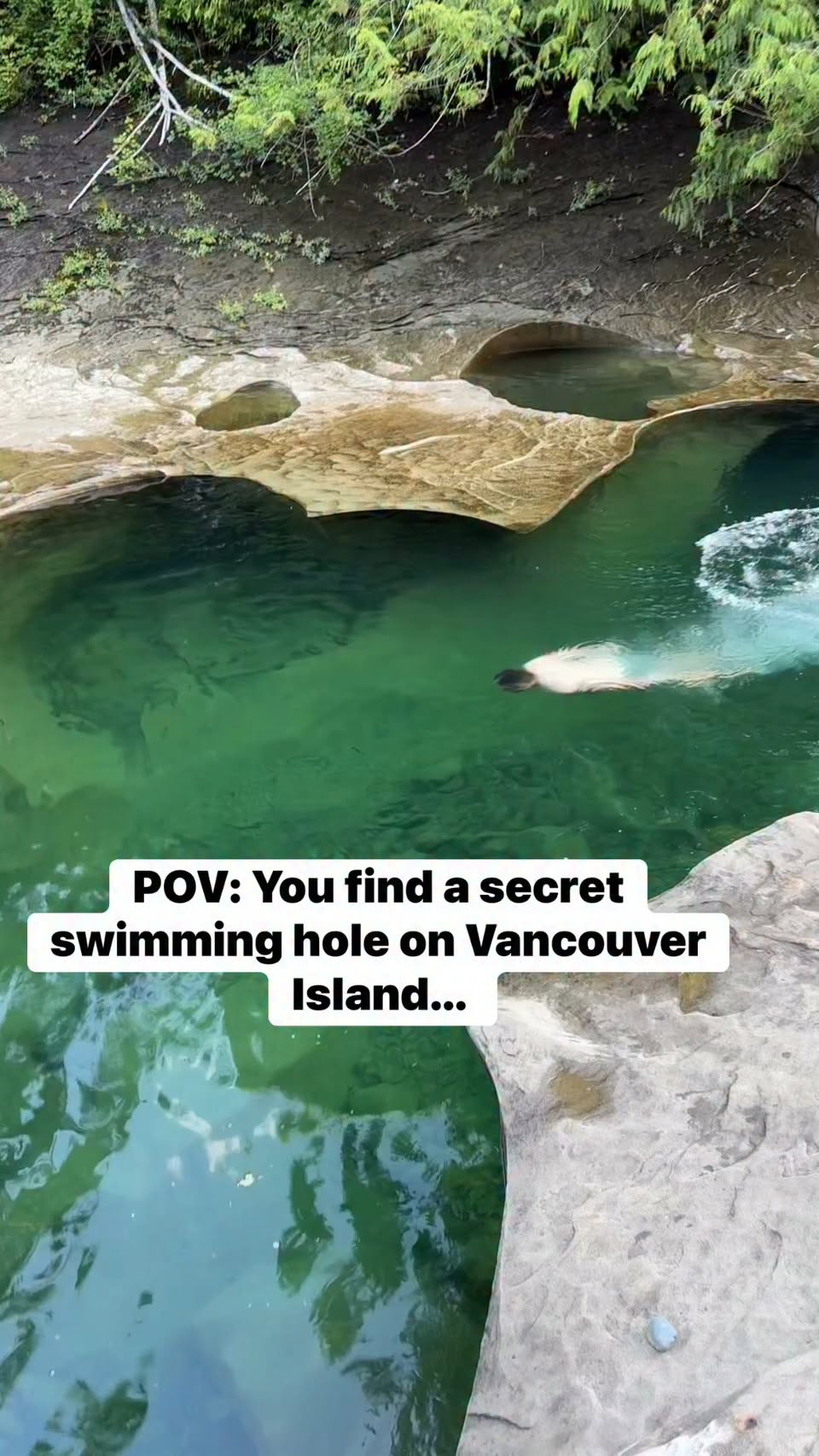 Hidden Vancouver Island Swimming Hole Adventure