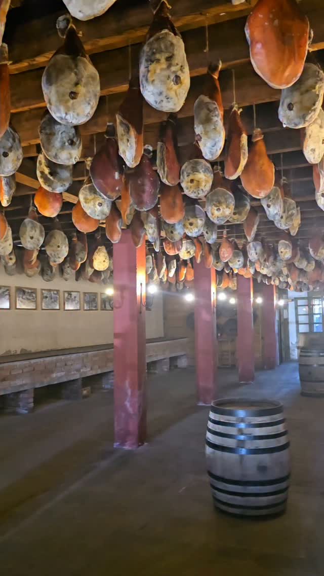 Chilean Town Preserves Italian Heritage