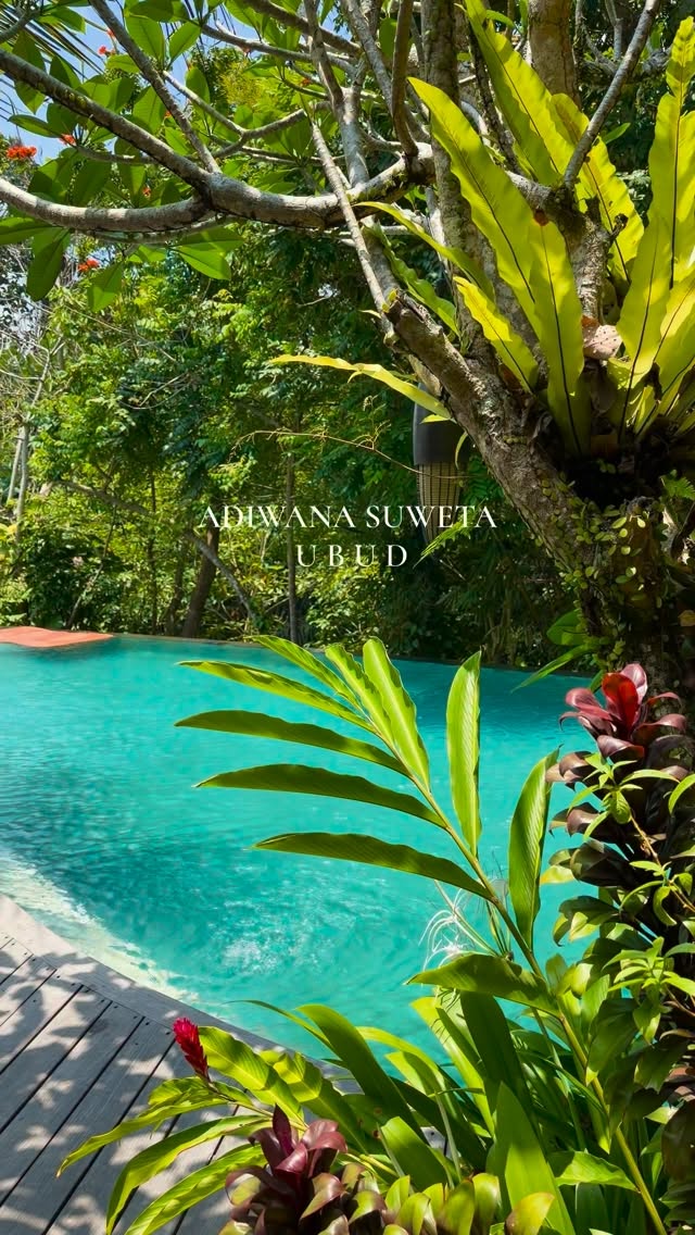 Bali Resort Offers Serene Jungle Escape With Pools