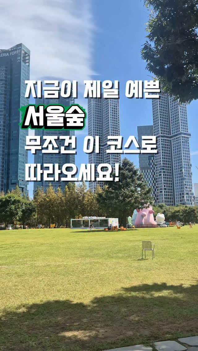 Autumn Day Out In Seoul Forest And Nearby Spots