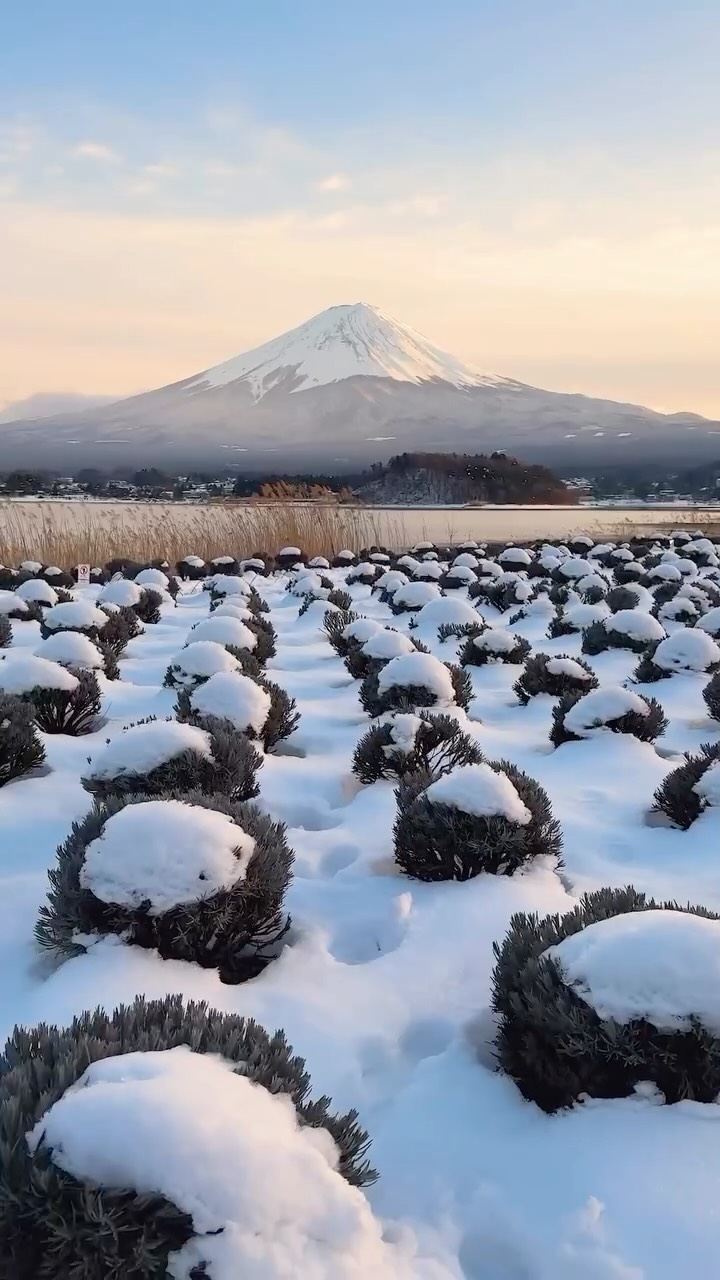 Japan's Iconic Destinations for Travelers