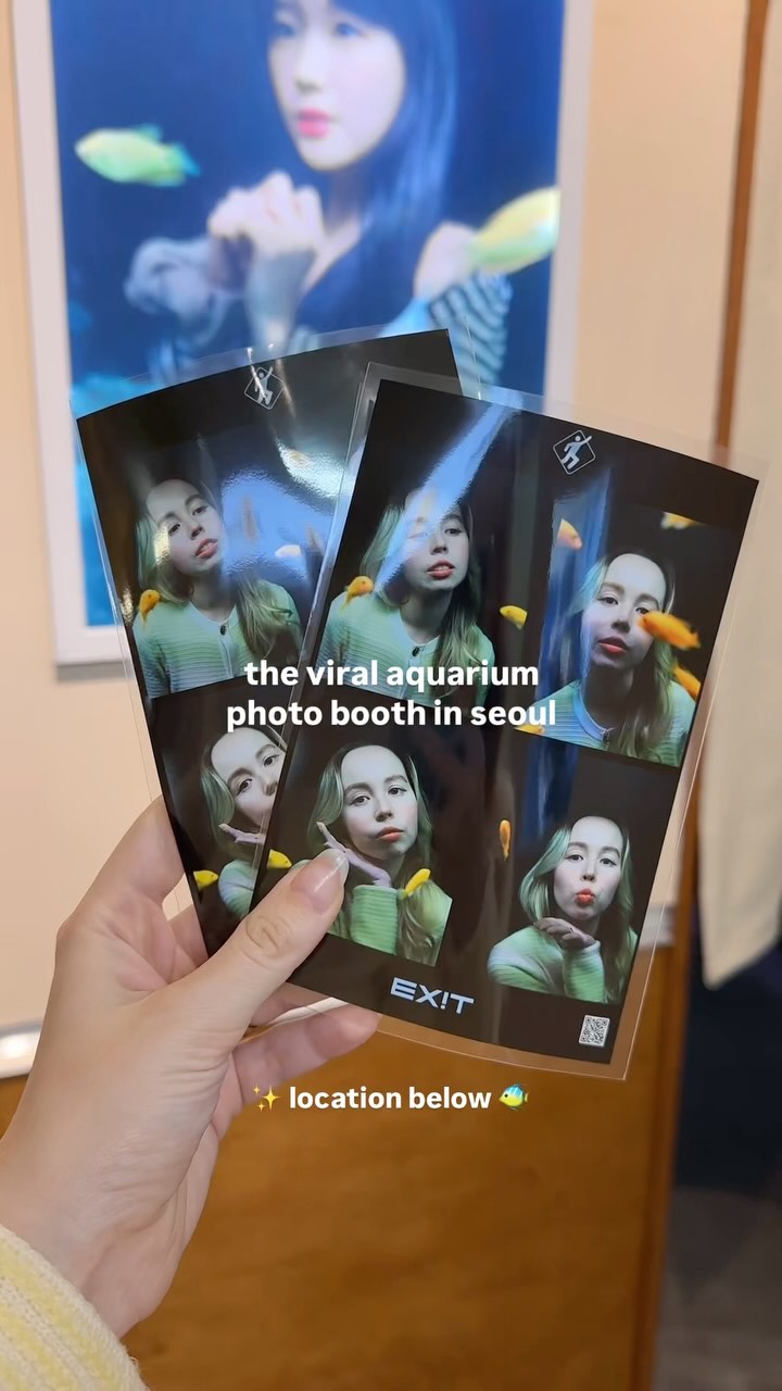 Viral Aquarium Photo Booths Offer Unique Experiences