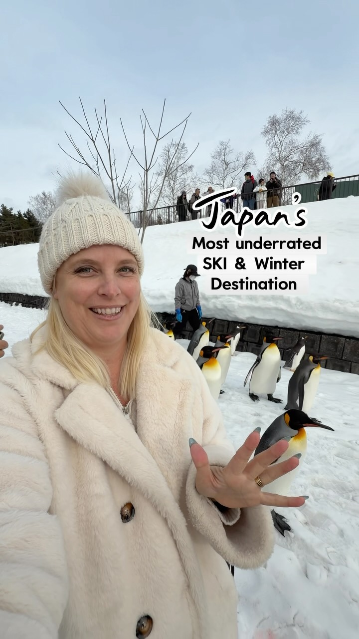Hokkaido Winter Wonders: Skiing, Wildlife, and Scenic Beauty