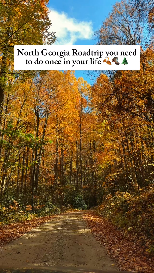 North Georgia Road Trip: Towns and Nature Explored