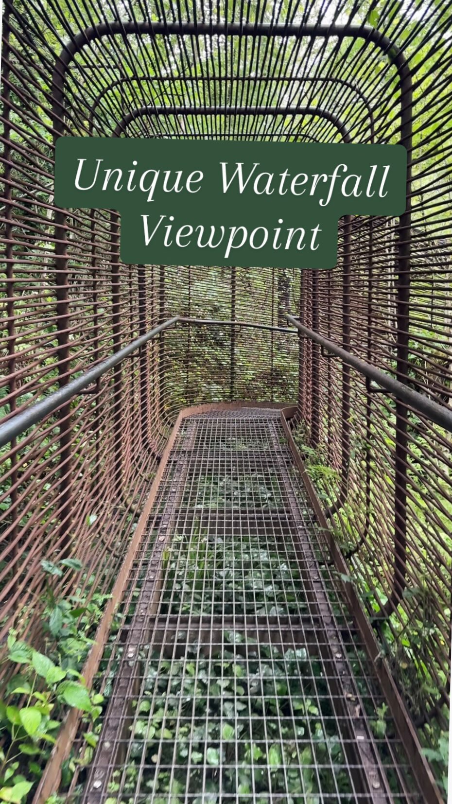 Scotland's Woven Sound Walkway and Falls Of Falloch
