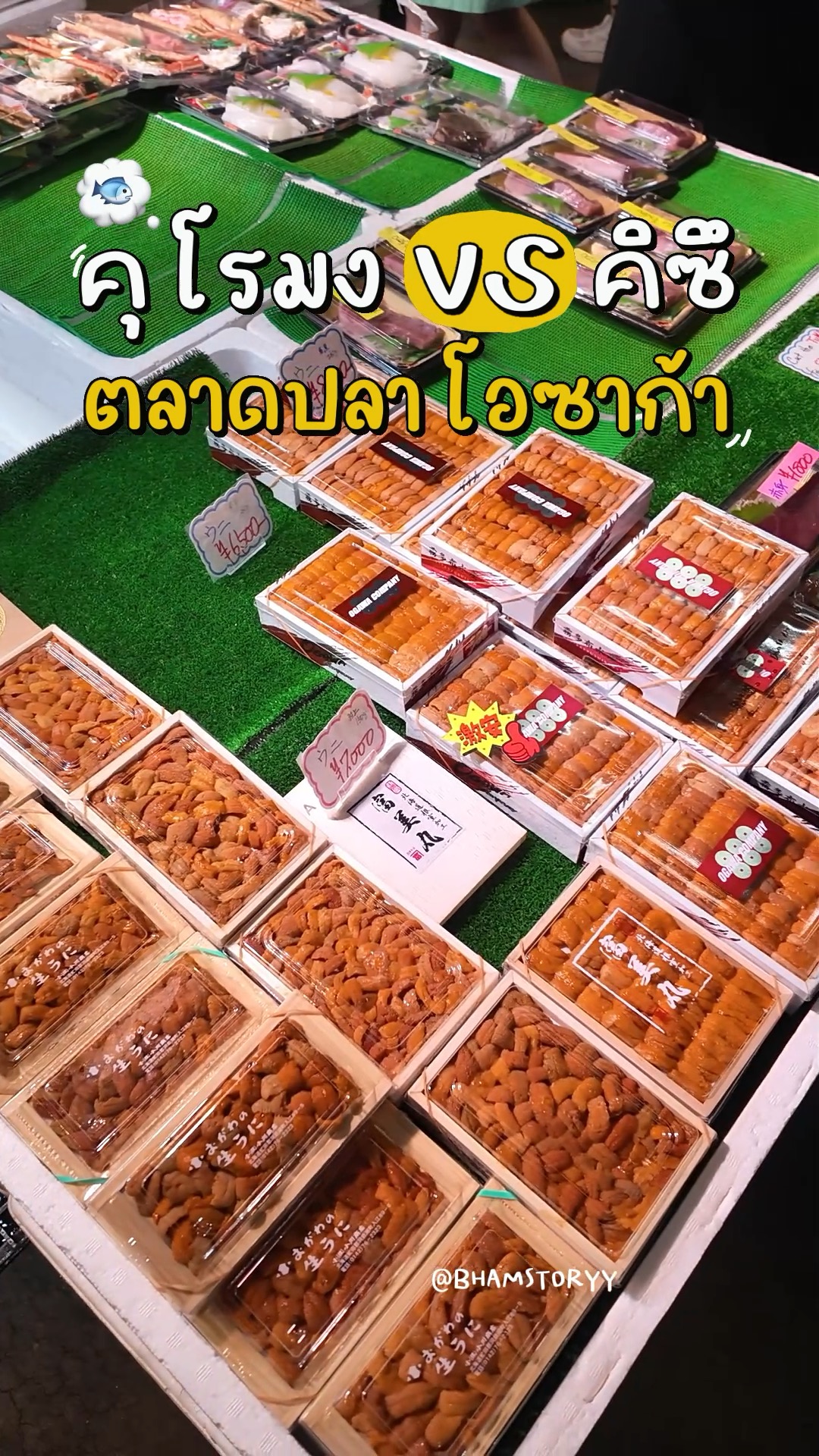 Osaka's Famous Food Markets: A Seafood Comparison