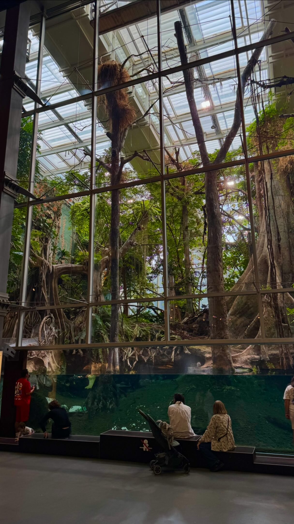 CosmoCaixa Science Museum: Rainforest and Aquarium