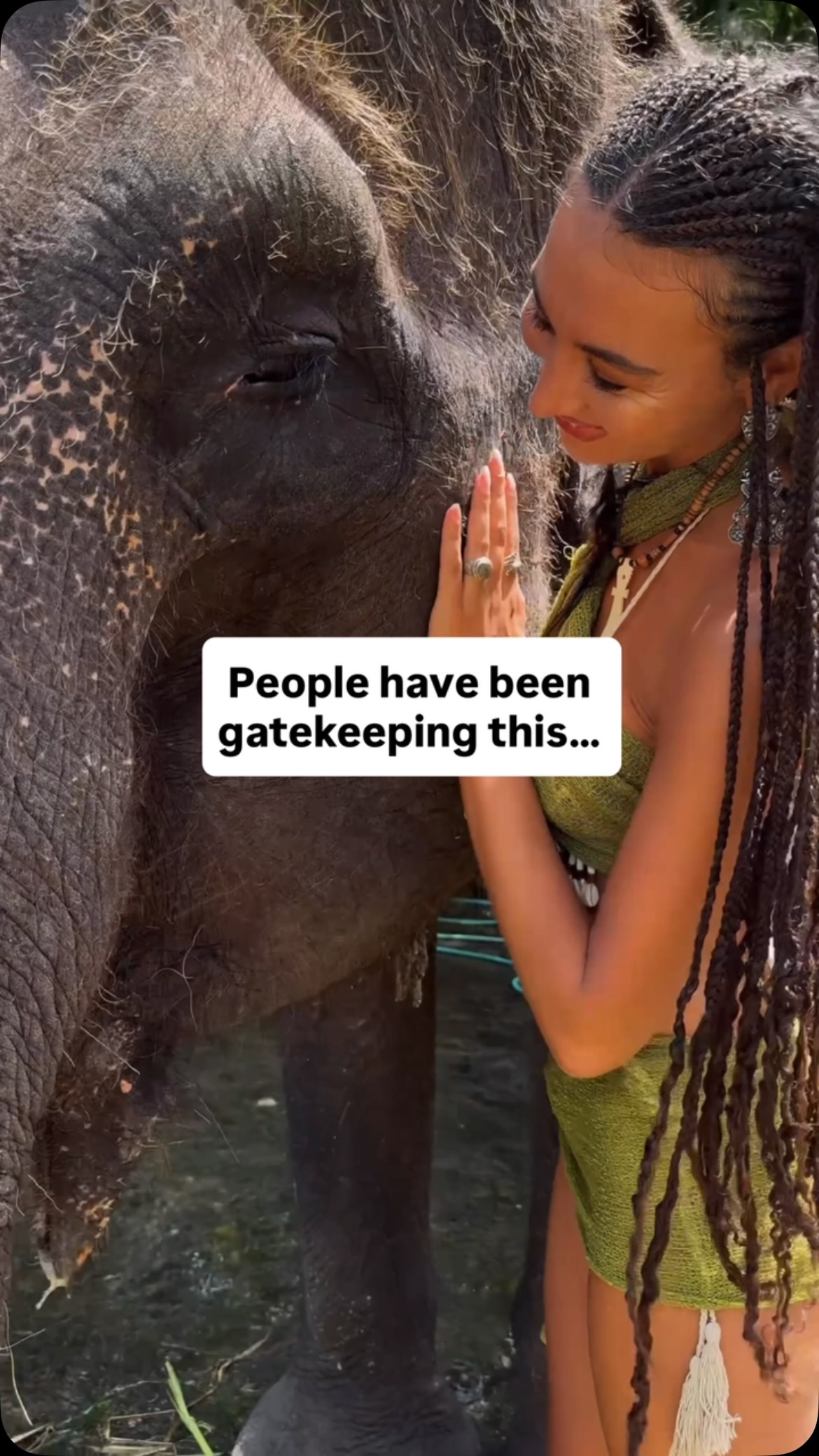 Elephant Encounters and Unique Dining Experiences