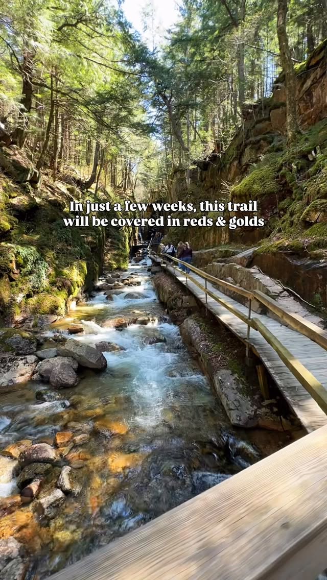 New Hampshire's Natural Wonders And Family Adventures