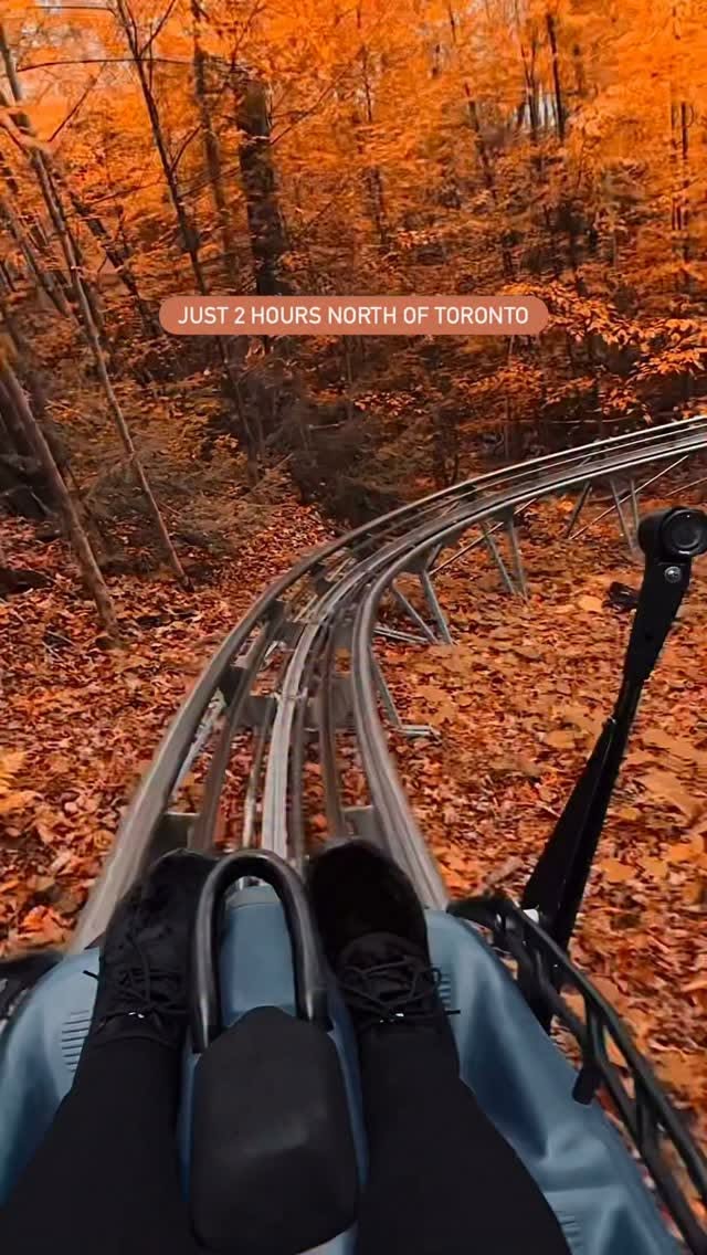 Thrilling Mountain Coaster Ride At Blue Mountain Village