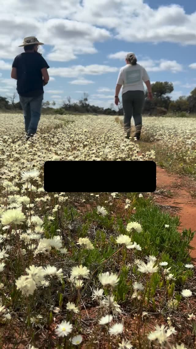 Five Off-Grid Camping Spots In Karara Rangelands