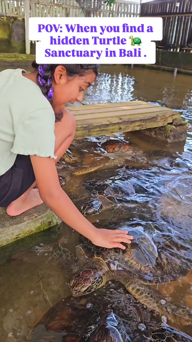 Bali's Turtle Sanctuaries Offer Up-Close Encounters