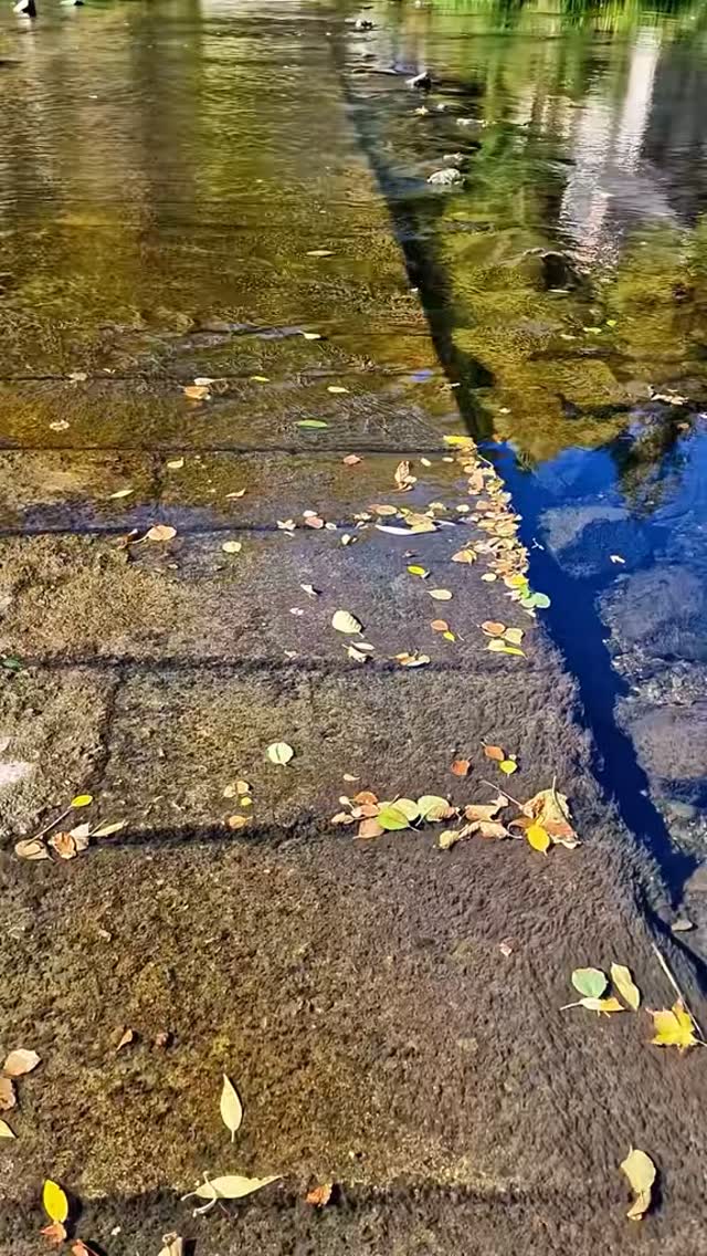Autumn Beauty in Harz Mountains Bodetal