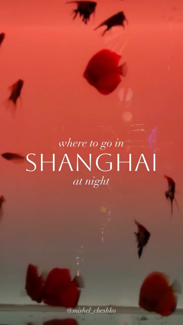 Shanghai Nightlife: Skyline Views and Vibrant Streets