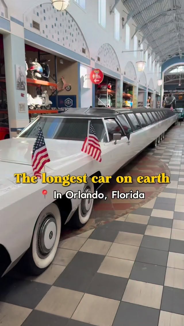 Dezerland Park's Extensive Auto Museum