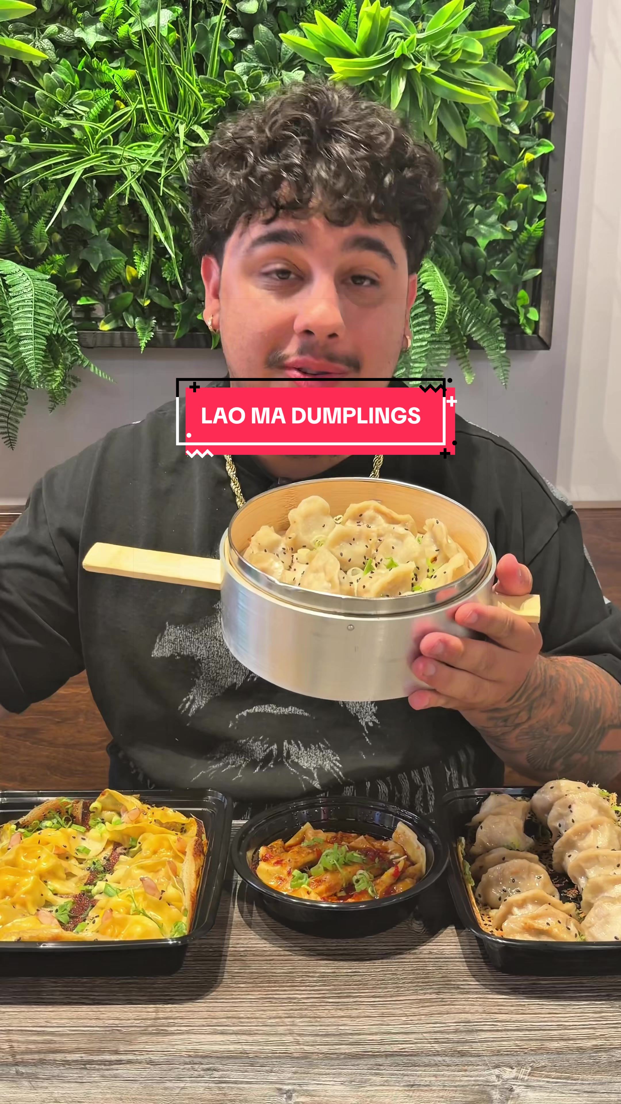 Dumpling Delights At Niu Mama Kitchens