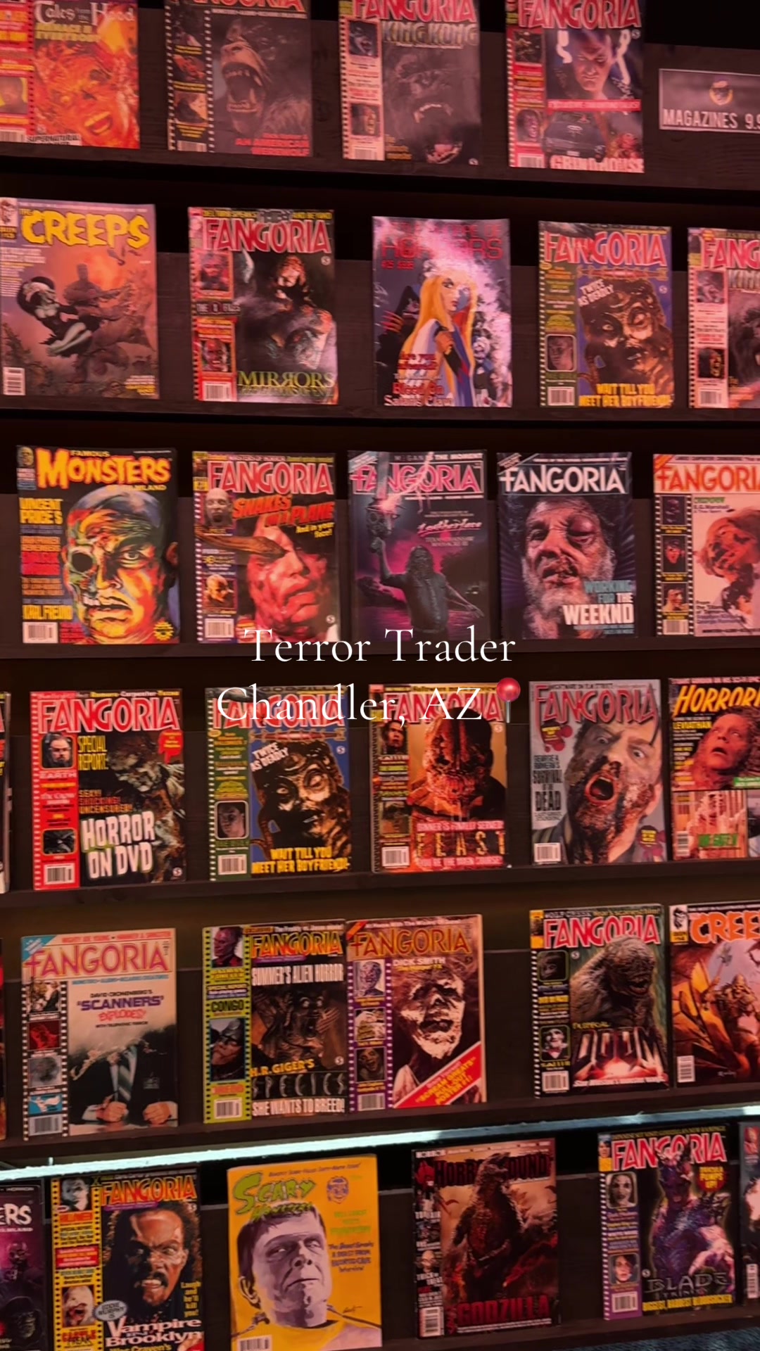 Horror Store and Escape Room