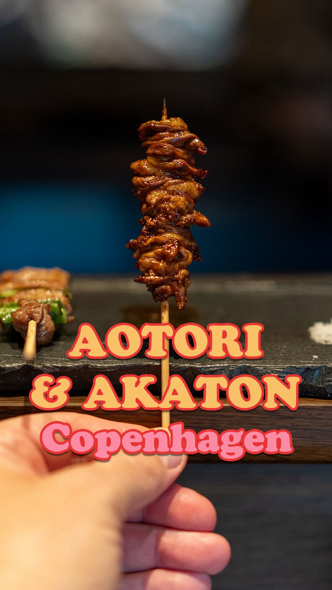 Copenhagen Restaurant Features Yakitori And Tonkatsu
